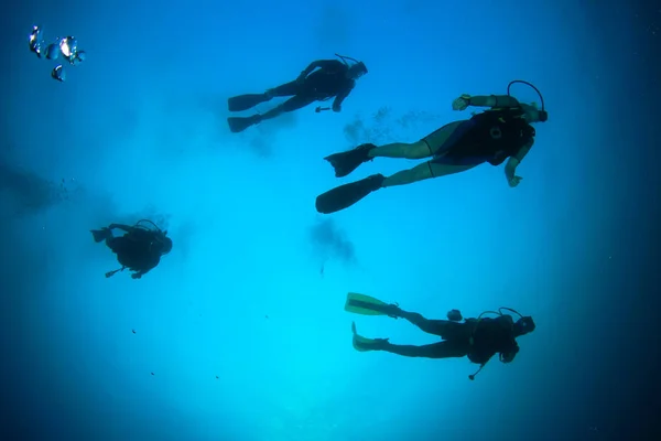 Plongeurs Nageant Dans Eau Mer Propre — Photo