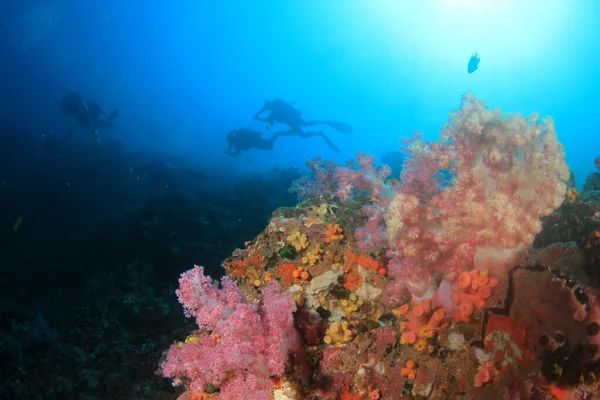 きれいな青い海のサンゴ礁 — ストック写真