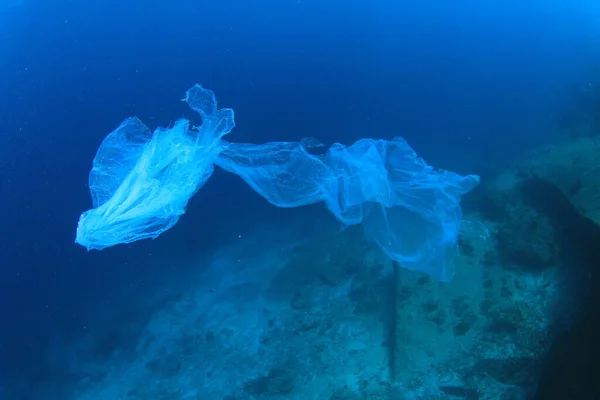 Quallen Sauberen Blauen Meerwasser — Stockfoto