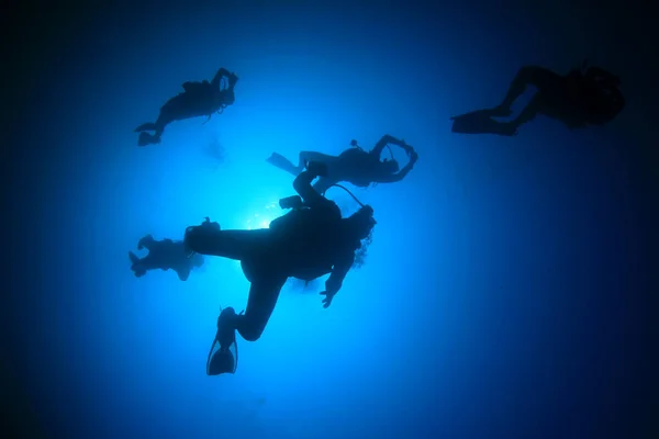 Dalgıçlar Temiz Deniz Suyunda Yüzüyor — Stok fotoğraf