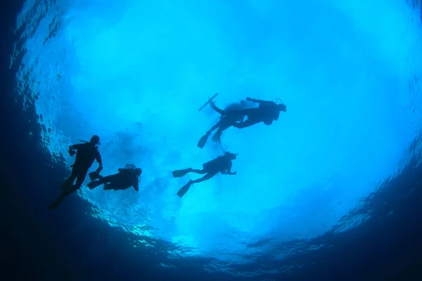 Plongeurs Nageant Dans Eau Mer Propre — Photo