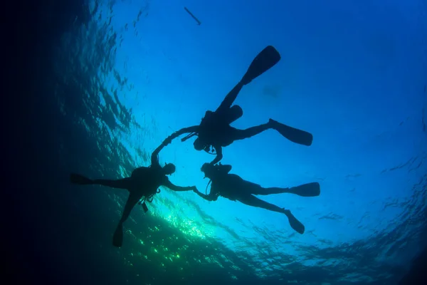 Plongeurs Nageant Dans Eau Mer Propre — Photo