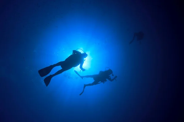 Divers swimming in clean sea water