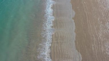 Tropikal plaj ve alçalan hava aracının palmiye ağaçları
