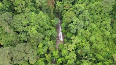 Yağmur ormanlarındaki şelale ve nehrin hava aracı görüntüleri.