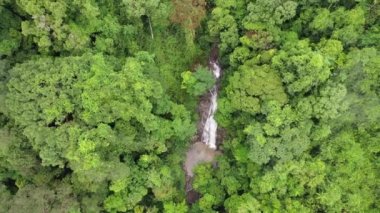 Yağmur ormanlarındaki şelale ve nehrin hava aracı görüntüleri.