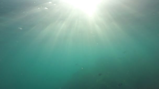 Sauberes Blaues Meerwasser — Stockvideo