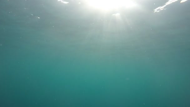 Sauberes Blaues Meerwasser — Stockvideo