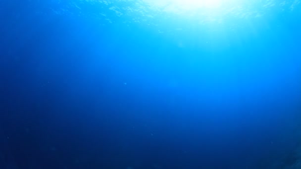 清澈的蓝色海水 — 图库视频影像
