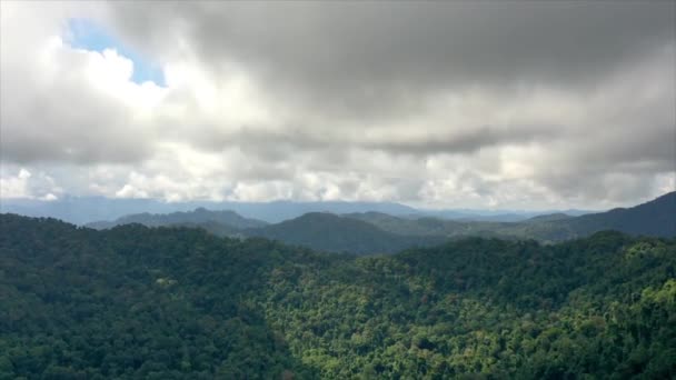 Nuages sur la forêt tropicale de montagne