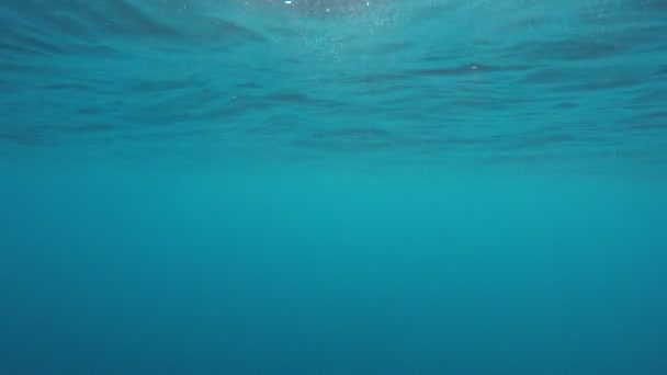 Καθαρό Γαλάζιο Θαλασσινό Νερό — Αρχείο Βίντεο