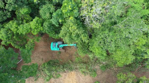 Déforestation Journalisation Pelle Creuse Des Arbres Dans Forêt Tropicale Pour — Video