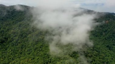 Yağmur ormanları ve bulutlar. Yağmur ormanlarının hava manzarası. Güneydoğu Asya 'da sis, sis ve dağlar