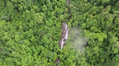 Yağmur ormanlarındaki şelale ve nehrin hava aracı görüntüleri.