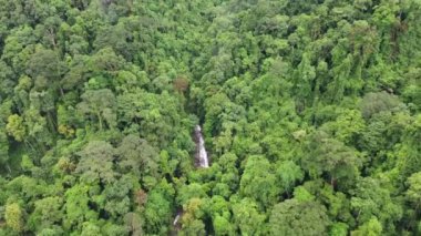 Yağmur ormanlarındaki şelale ve nehrin hava aracı görüntüleri.