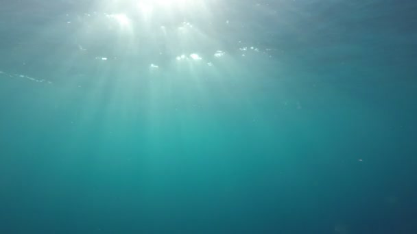 Clean Blue Sea Water — Stock Video