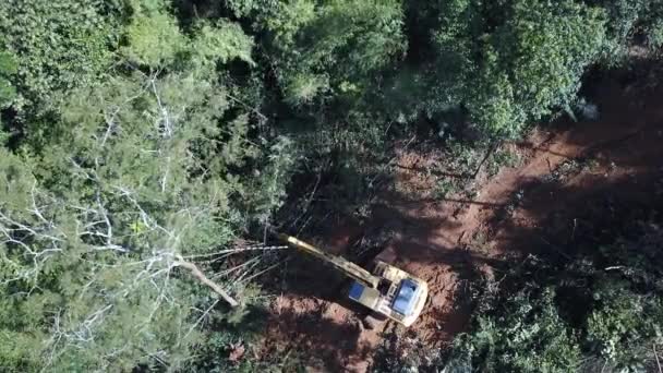 Ontbossing Logboek Graafmachine Vult Bomen Het Regenwoud Plaats Maken Voor — Stockvideo