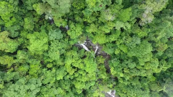 Filmato Aereo Drone Cascata Fiume Nella Foresta Pluviale — Video Stock