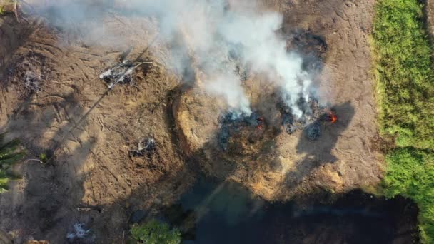 Bosbrand Ontbossing Luchtfoto Van Jungle Regenwoud Verwoest Zuidoost Azië — Stockvideo