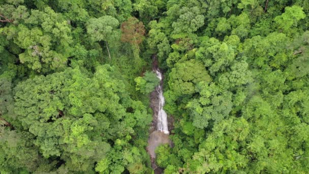 Images Aériennes Drones Cascade Rivière Forêt Tropicale — Video