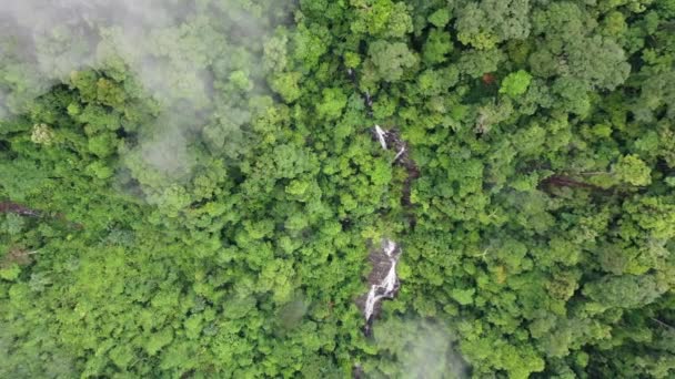 Filmato Aereo Drone Cascata Fiume Nella Foresta Pluviale — Video Stock