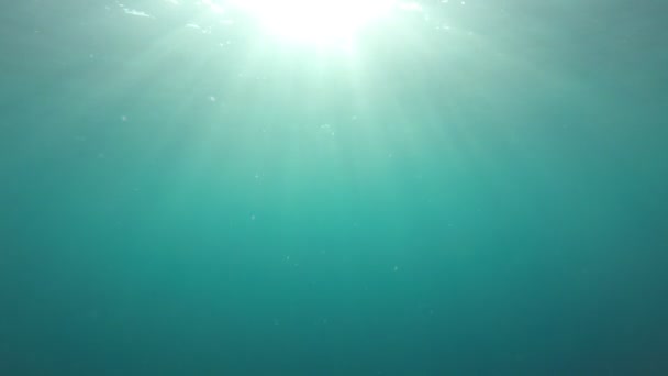 Acqua Pulita Blu Mare — Video Stock