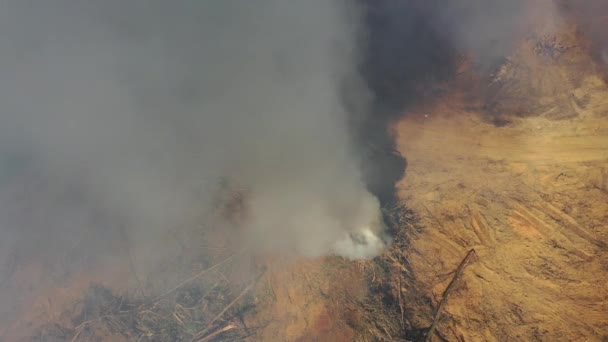 Un feu de forêt. Déforestation. Vue aérienne de la forêt tropicale de jungle détruite en Asie du Sud-Est