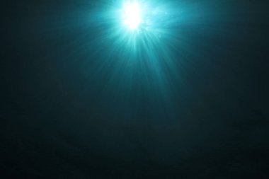 Okyanusun güzel sualtı manzarası