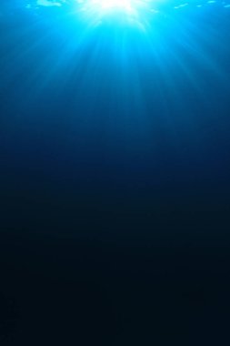 Okyanusun güzel sualtı manzarası