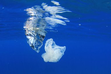 Okyanustaki plastik çöp kirliliği. Çevresel sorun kavramı