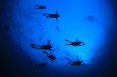 Mavi denizin derinliklerinde bir grup dalgıcın sualtı fotoğrafı.