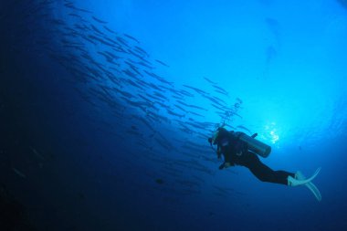 Mavi denizin derinliklerindeki dalgıcın sualtı fotoğrafı.