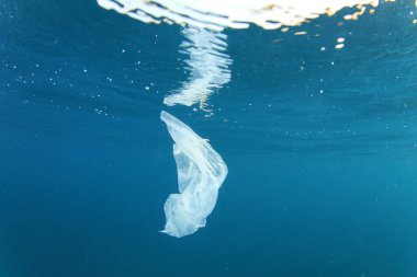 Okyanustaki plastik çöp kirliliği. Çevresel sorun kavramı