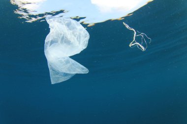 Okyanustaki plastik çöp kirliliği. Çevresel sorun kavramı