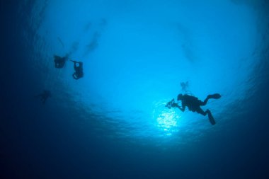 Mavi denizin derinliklerinde bir grup dalgıcın sualtı fotoğrafı.