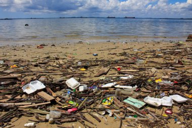 Deniz kenarındaki plastik çöp kirliliği. Çevresel sorun kavramı