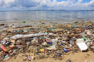 Deniz kenarındaki plastik çöp kirliliği. Çevresel sorun kavramı