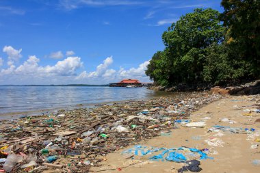 Deniz kenarındaki plastik çöp kirliliği. Çevresel sorun kavramı