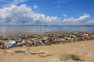 Deniz kenarındaki plastik çöp kirliliği. Çevresel sorun kavramı