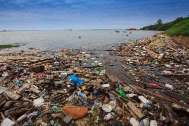 Deniz kenarındaki plastik çöp kirliliği. Çevresel sorun kavramı