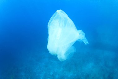 Okyanustaki plastik çöp kirliliği. Çevresel sorun kavramı