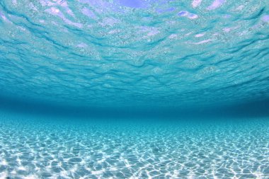 Okyanusun dibindeki su altı manzarası