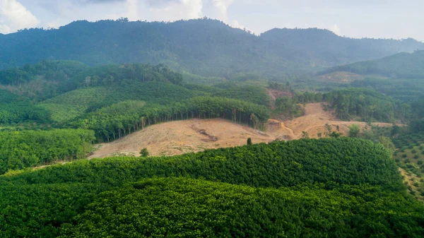 Vista Aérea Montaña Del Cáucaso Verano Concepto Deforestación — Foto de Stock