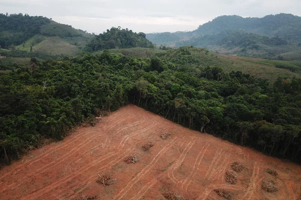 Vista Aérea Montaña Del Cáucaso Verano Concepto Deforestación — Foto de Stock