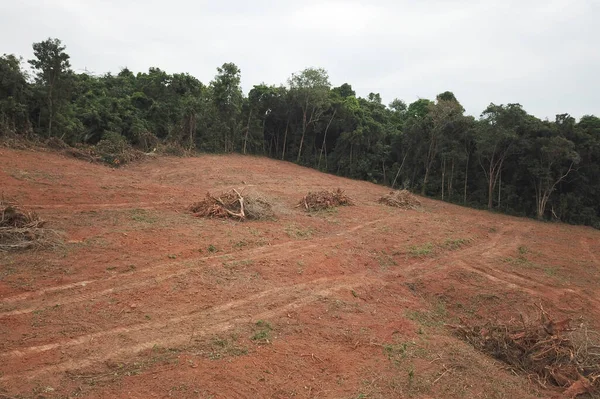 Vista Aérea Montaña Del Cáucaso Verano Concepto Deforestación — Foto de Stock