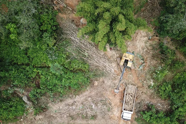 Antenni Näkymä Vuorelle Kaukasuksen Kesällä Metsäkadon Käsite — kuvapankkivalokuva