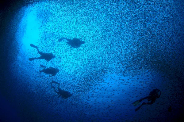 Foto Subaquática Grupo Mergulhadores Profundidade Mar Azul — Fotografia de Stock