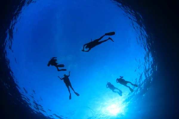Underwater Photo Group Divers Depth Blue Sea — Stock Photo, Image