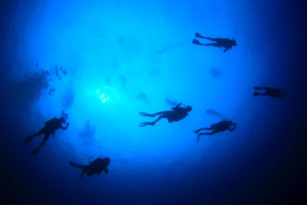 Foto Subaquática Grupo Mergulhadores Profundidade Mar Azul — Fotografia de Stock