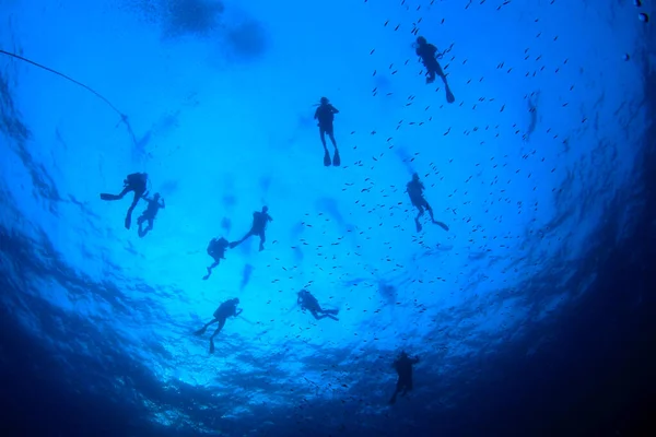 Foto Submarina Del Grupo Buceadores Profundidad Del Mar Azul —  Fotos de Stock